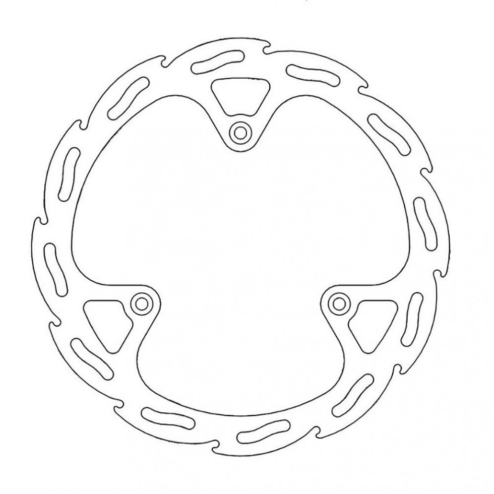 MotoMaster Brake Disc Flame