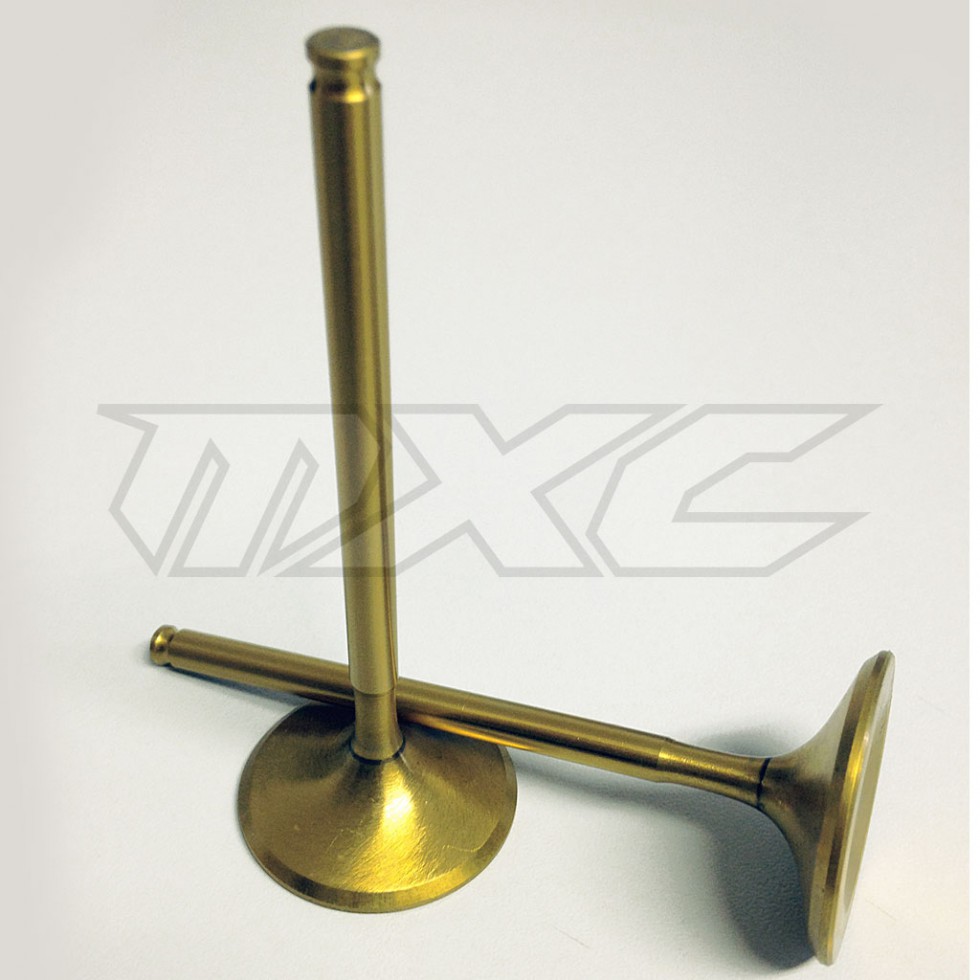 Mitaka Titanium Inlet Valve Set Honda CRF250 04-09