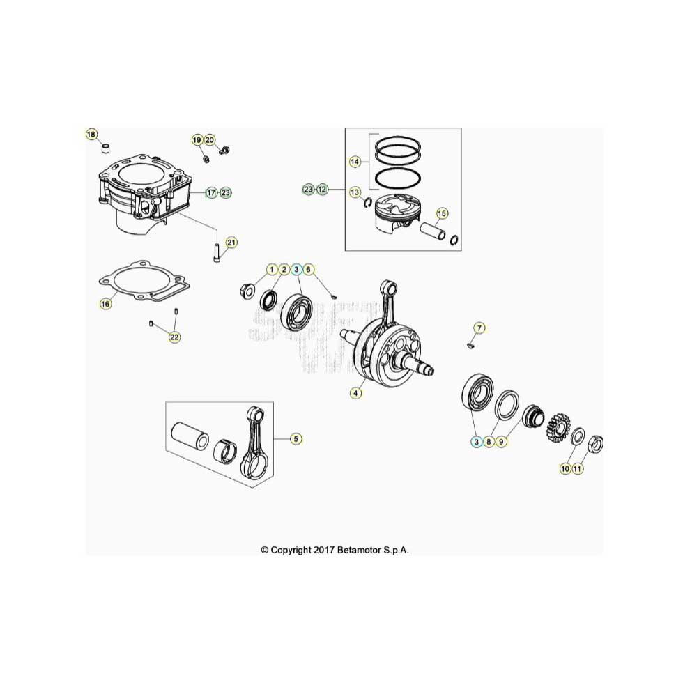 Beta EVO300 4T 24 Kurbelwelle/Kolben/Ausgleichswelle