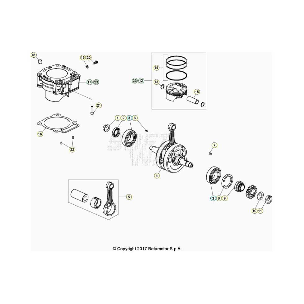 Beta EVO300 Factory 4T 22 Kurbelwelle/Kolben/Ausgleichswelle