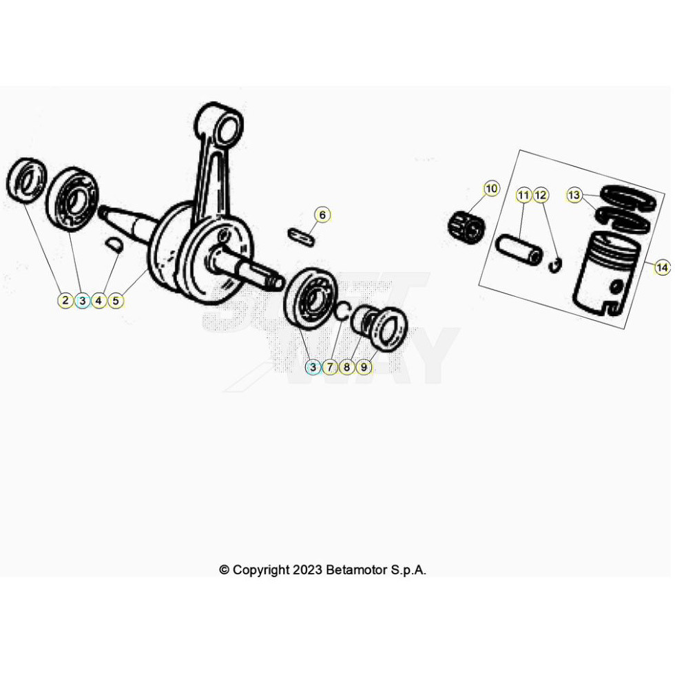 Beta RR50 Sport 24 Kurbelwelle/Kolben/Ausgleichswelle