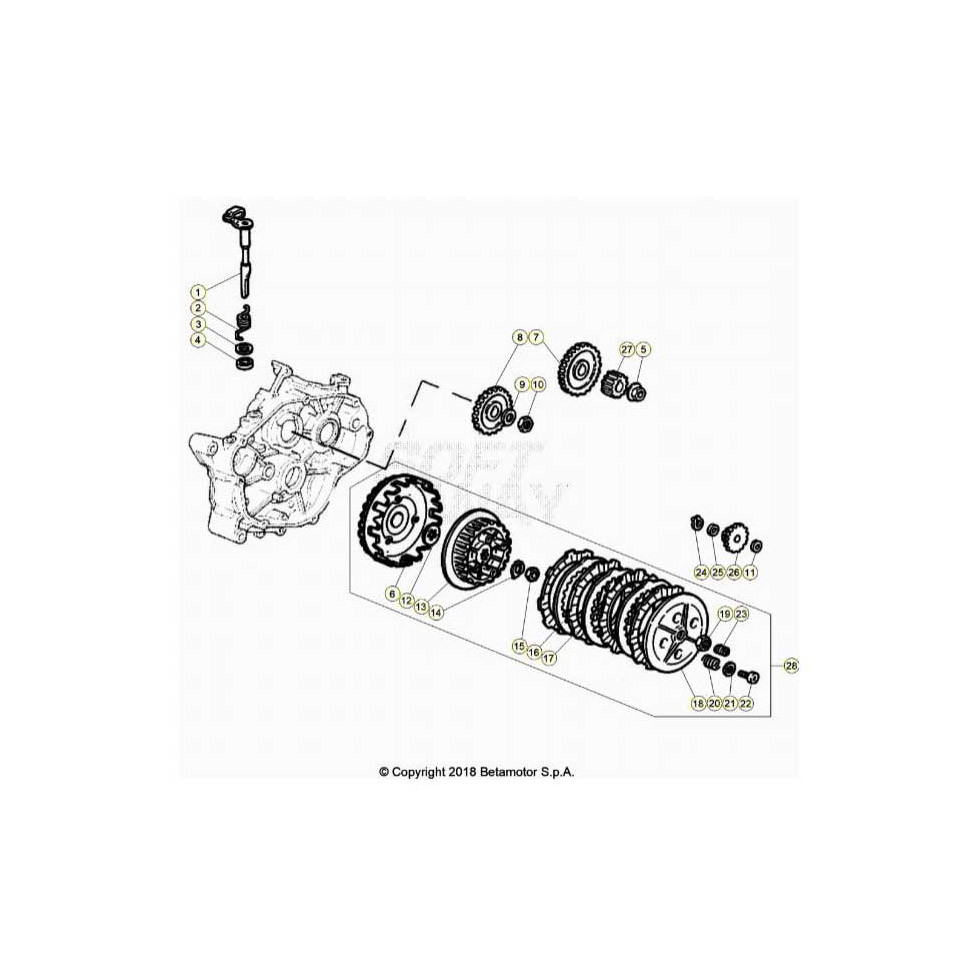 Beta RR50 Motard 24 Primärtrieb/Kupplung