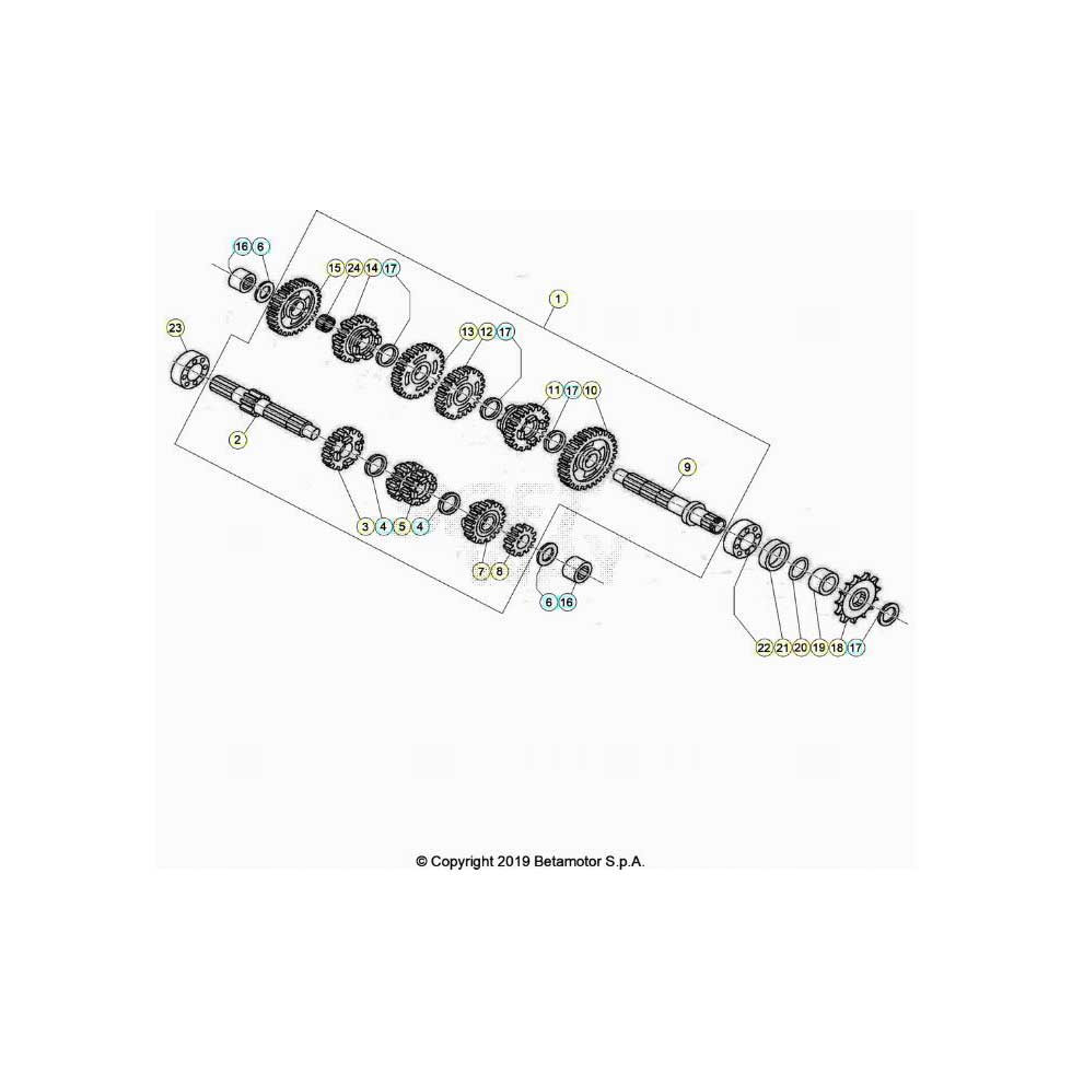 Beta EVO80 Senior 22 Getriebe