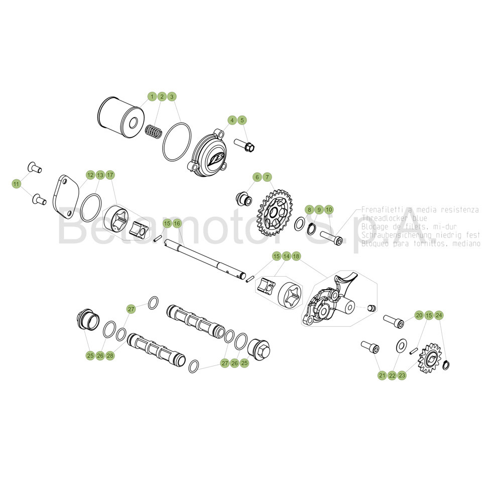 Beta EVO300 4T 19 Schmiersystem
