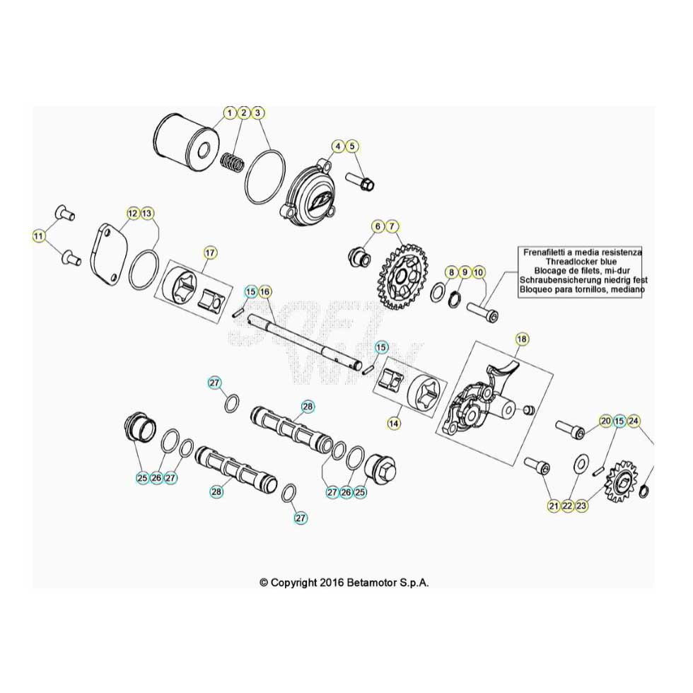 Beta EVO300 4T 22 Schmiersystem