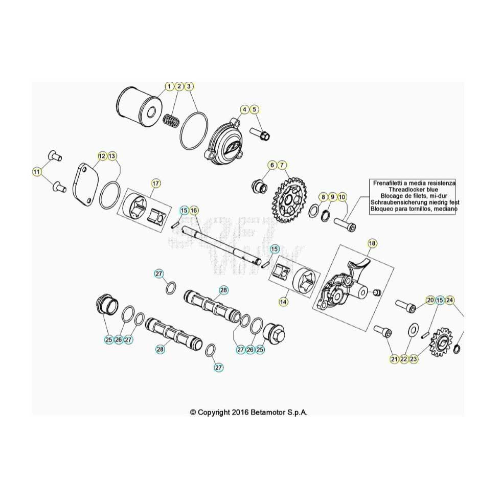 Beta EVO300 Factory 4T 22 Schmiersystem