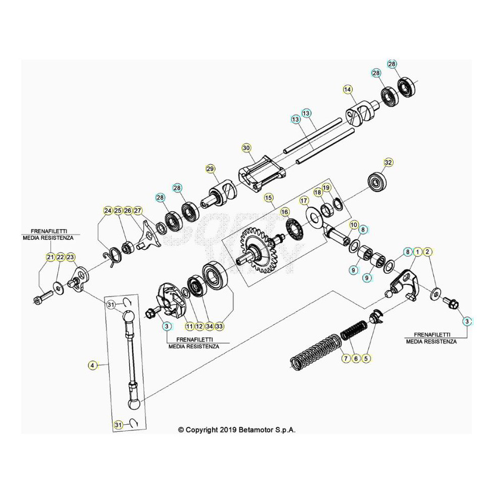 Beta RR250 26 Kühlsystem