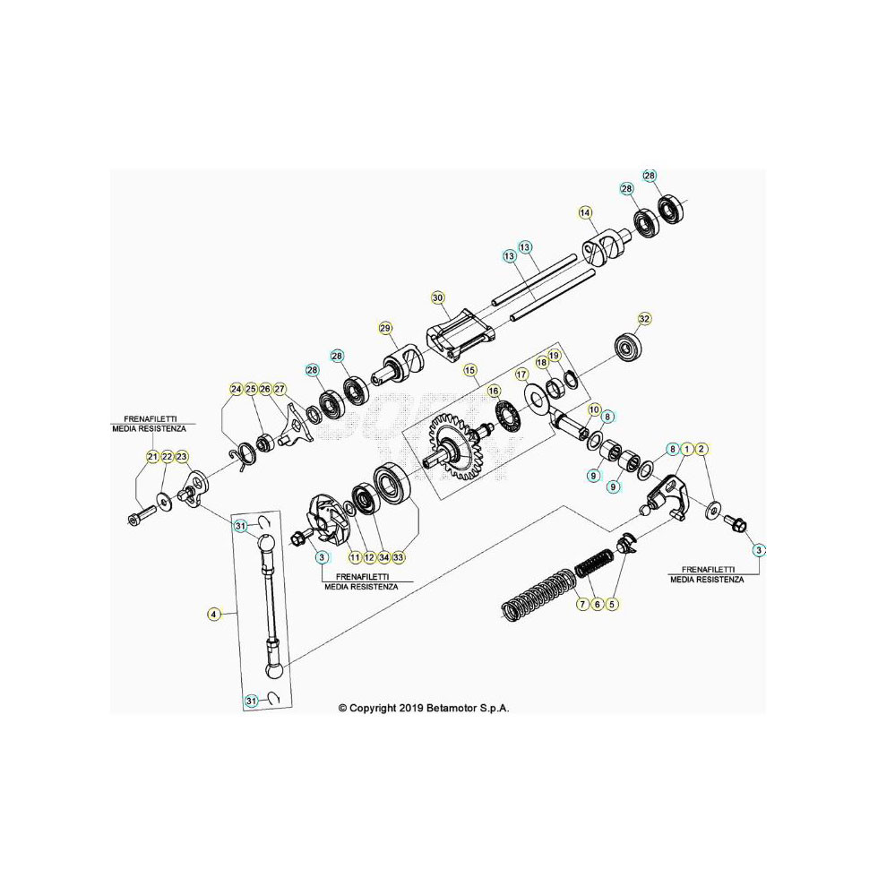 Beta RR250RC 26 Kühlsystem