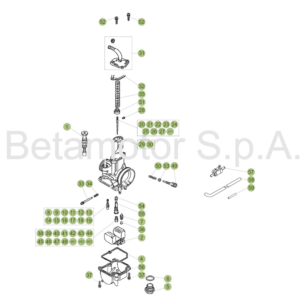 Beta EVO250 18 Vergaser 2