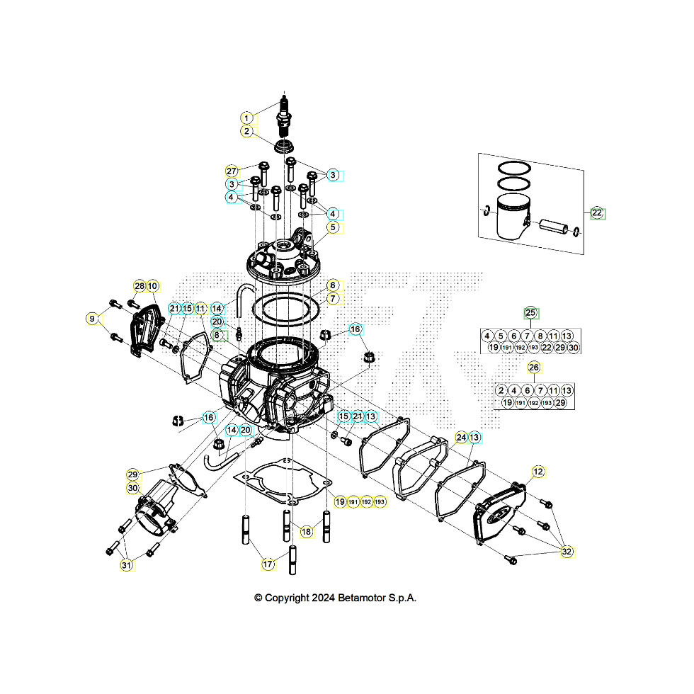 Beta RR300 26 Zylinder/Zylinderkopf/Ventiltrieb