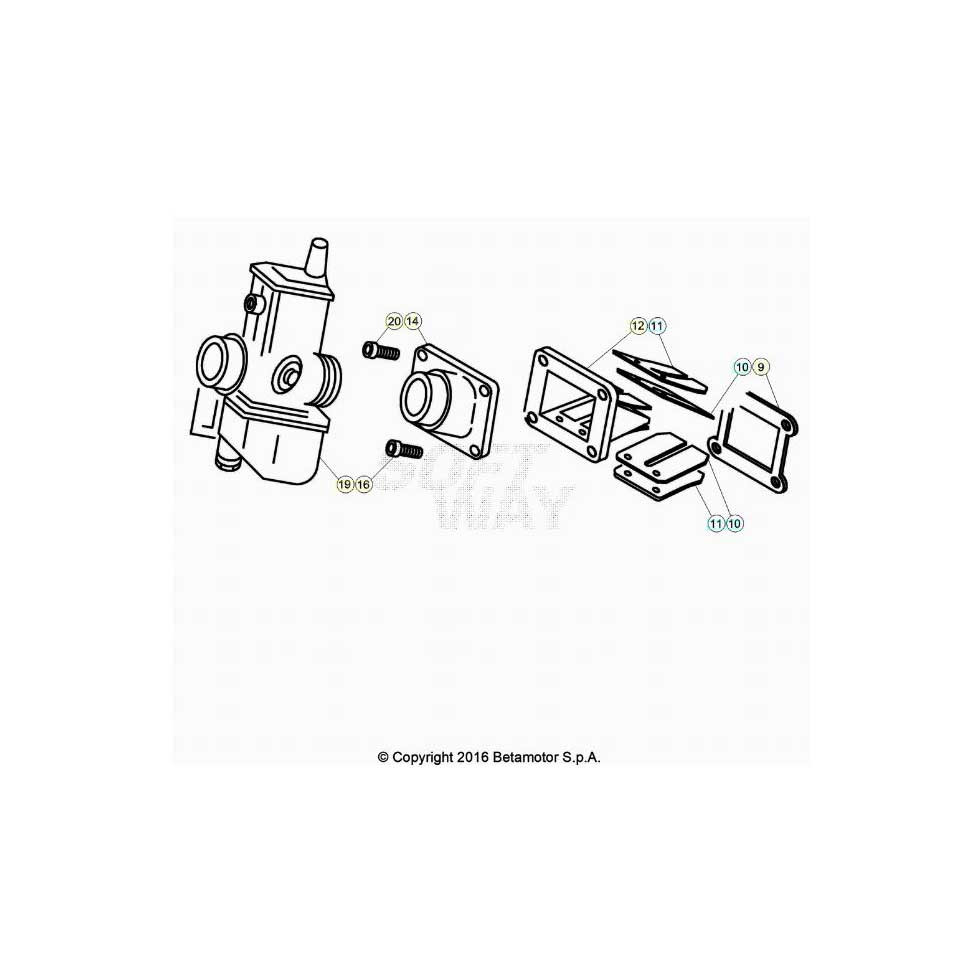 Beta EVO250 25 Vergaser 1