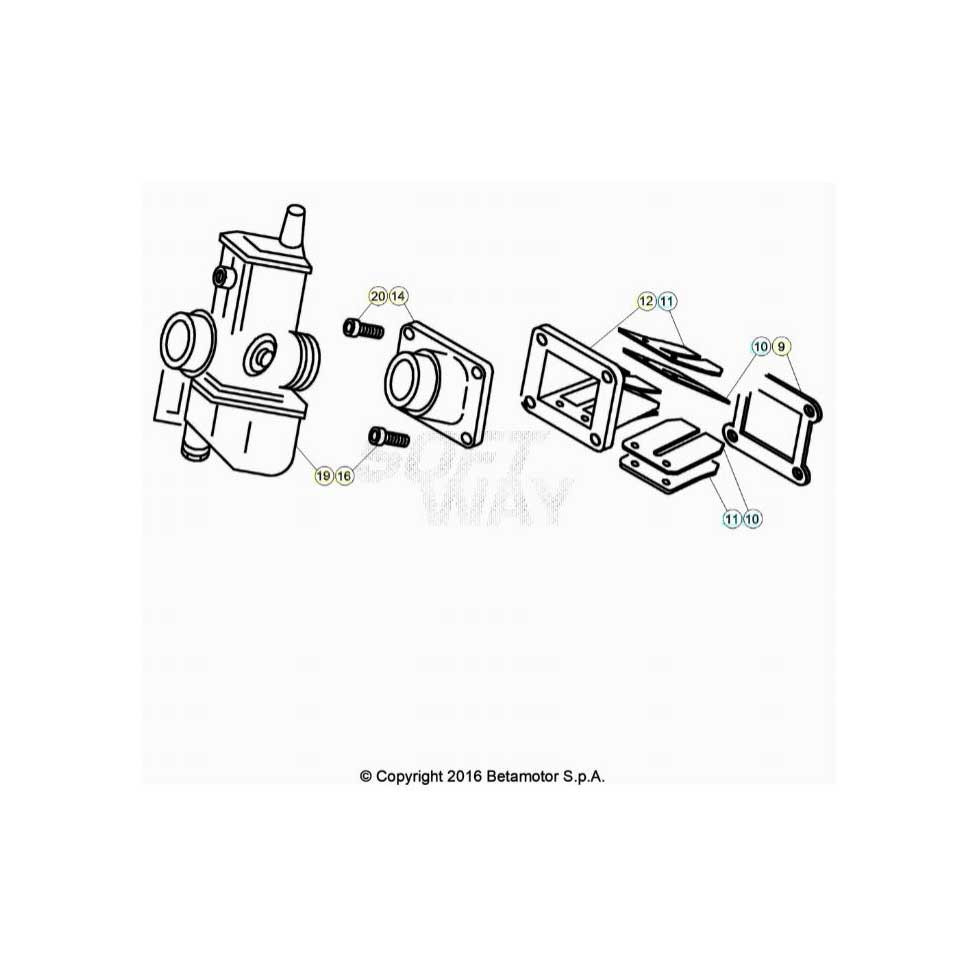 Beta  EVO250 Factory 24 Vergaser 1