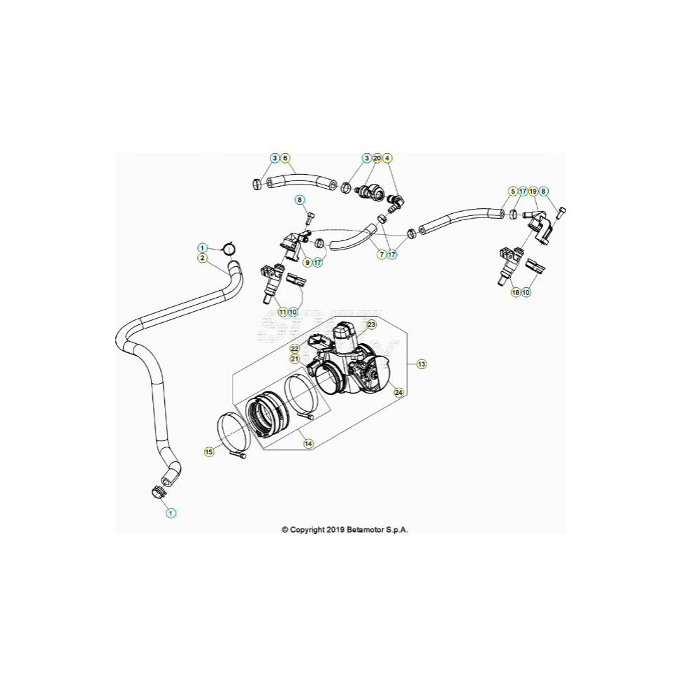 Beta RR430 25 Kraftstoffeinspritzung