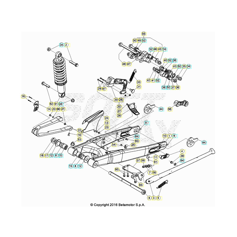 Beta EVO200 22 Schwingarm/Federbein 1