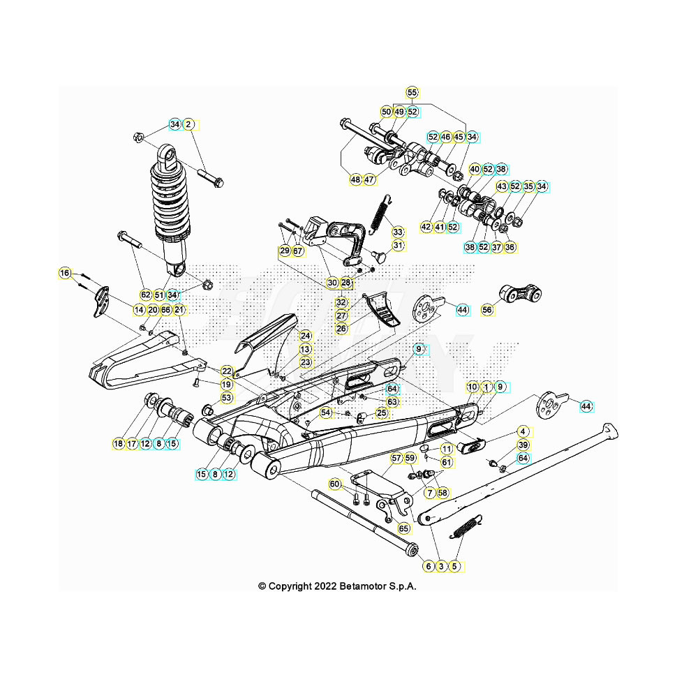 Beta EVO200 23 Schwingarm/Federbein 1