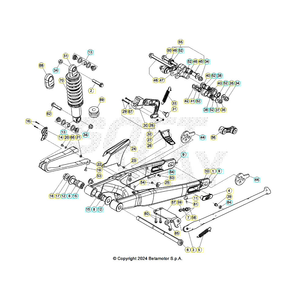 Beta EVO200 25 Schwingarm/Federbein 1