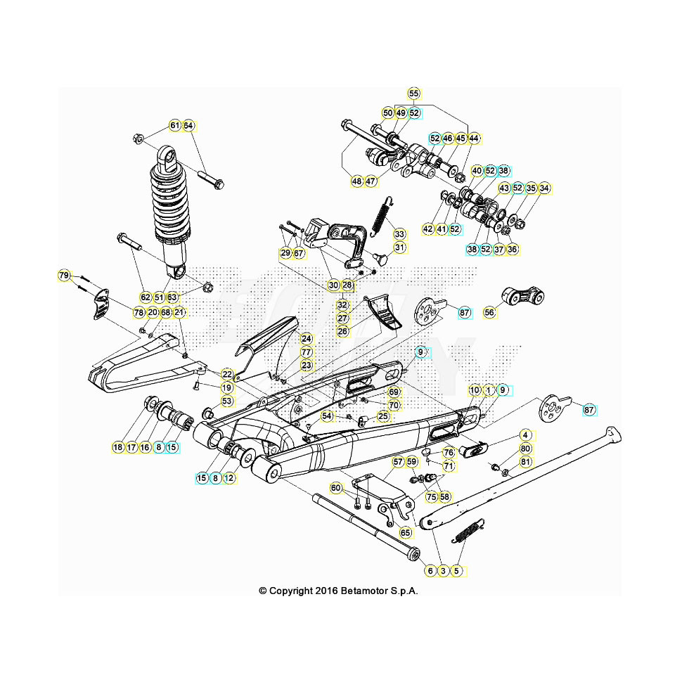 Beta EVO200 Factory 23 Schwingarm/Federbein 1
