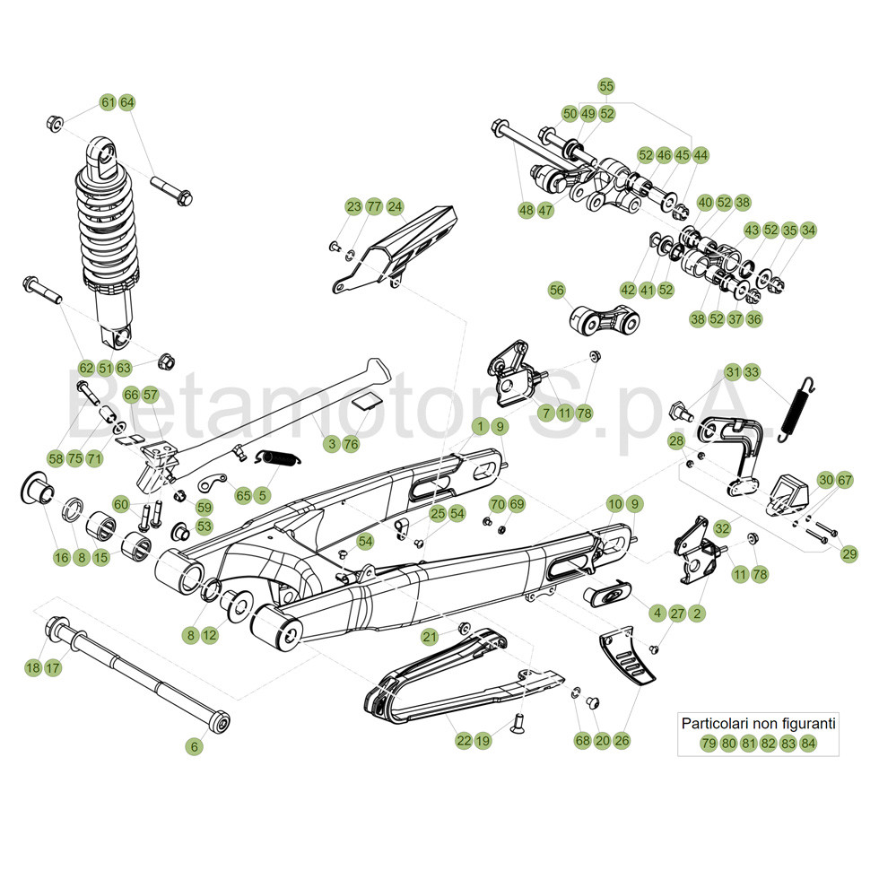 Beta EVO300 4T 19 Schwingarm/Federbein 1