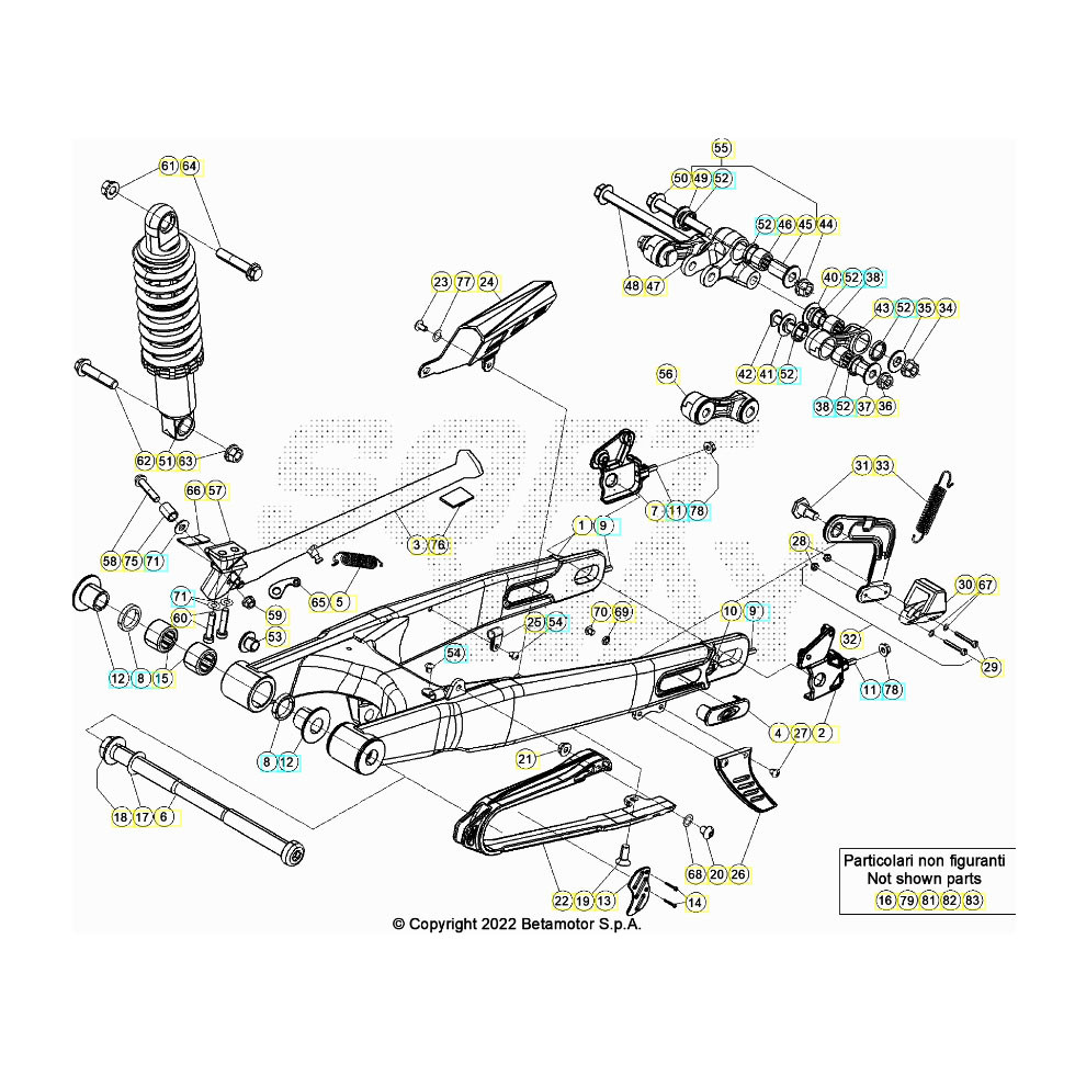 Beta EVO300 4T 24 Schwingarm/Federbein 1
