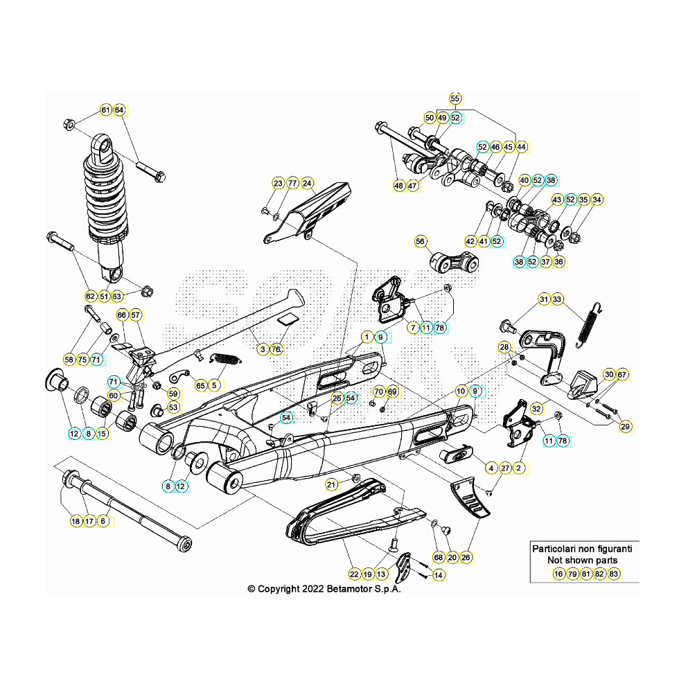 Beta EVO300 Factory 4T 23 Schwingarm/Federbein 1