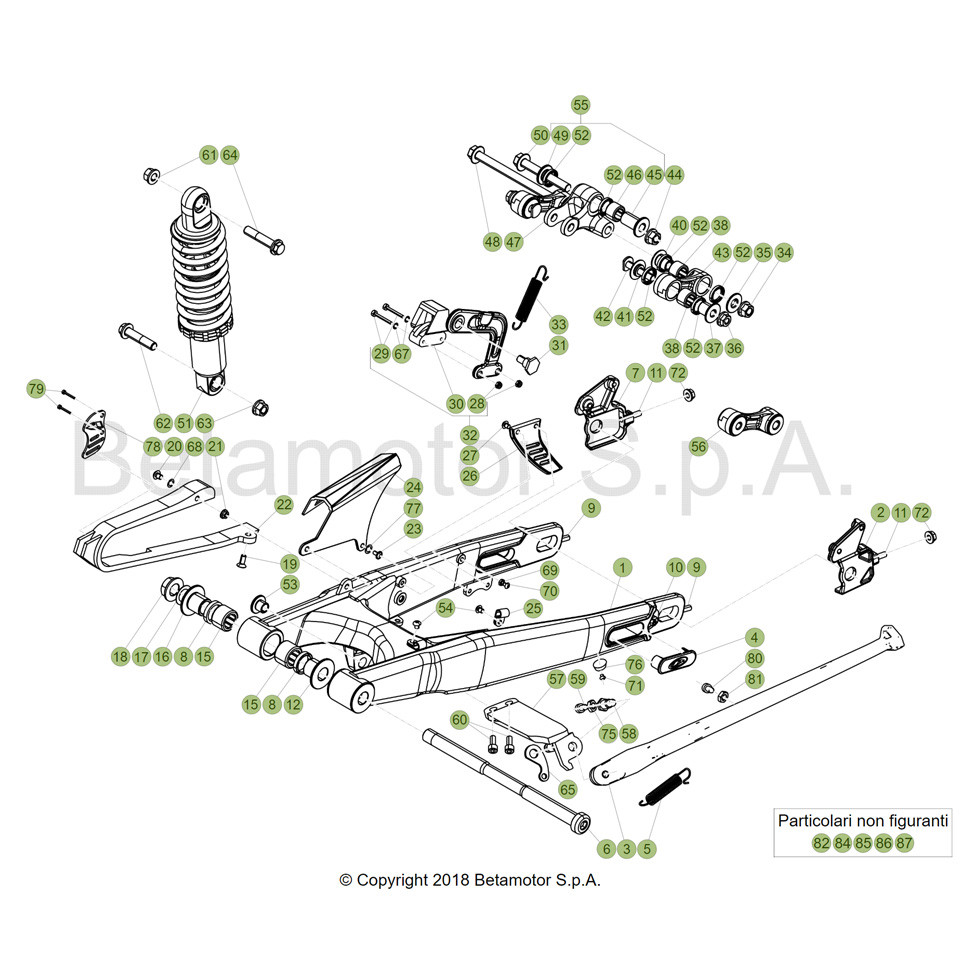 Beta EVO300 SS 19 Schwingarm/Federbein 1