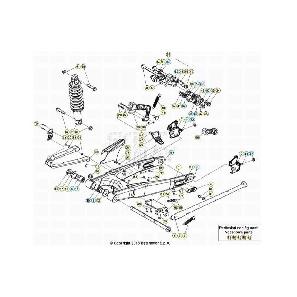 Beta EVO300 SS 24 Schwingarm/Federbein 1
