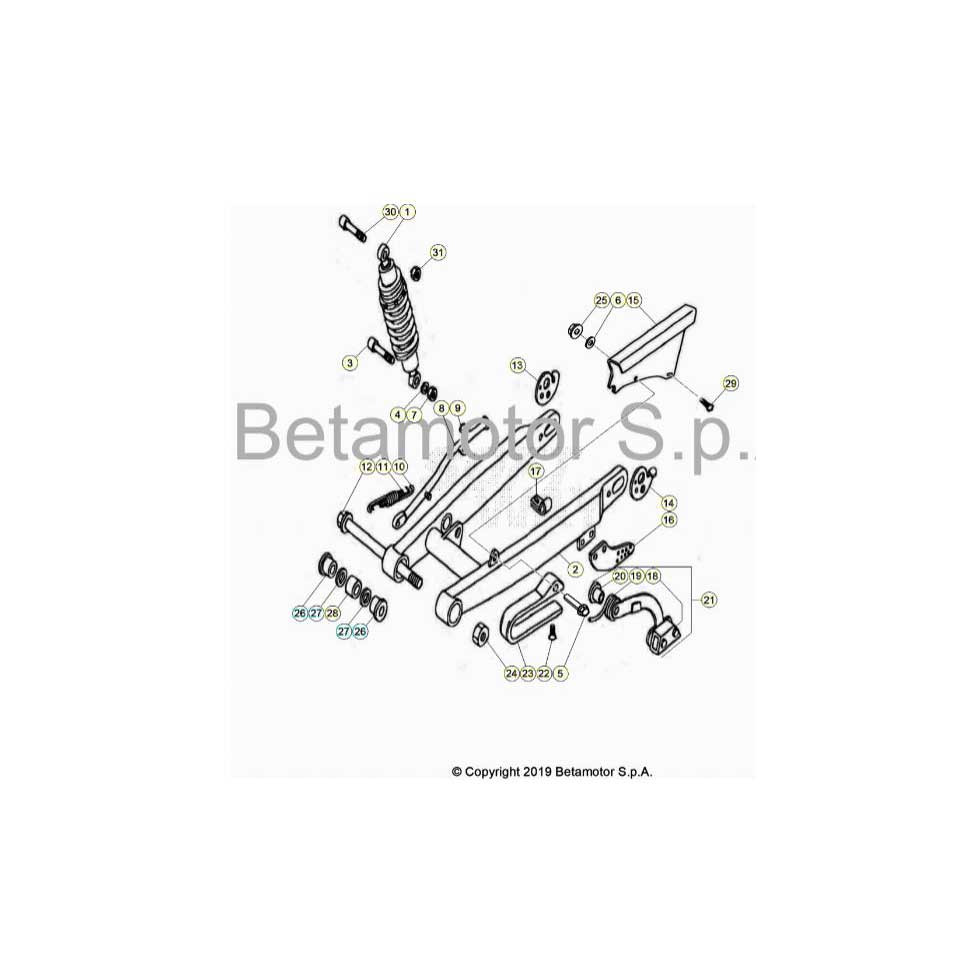 Beta EVO80 Junior 24 Schwingarm/Federbein