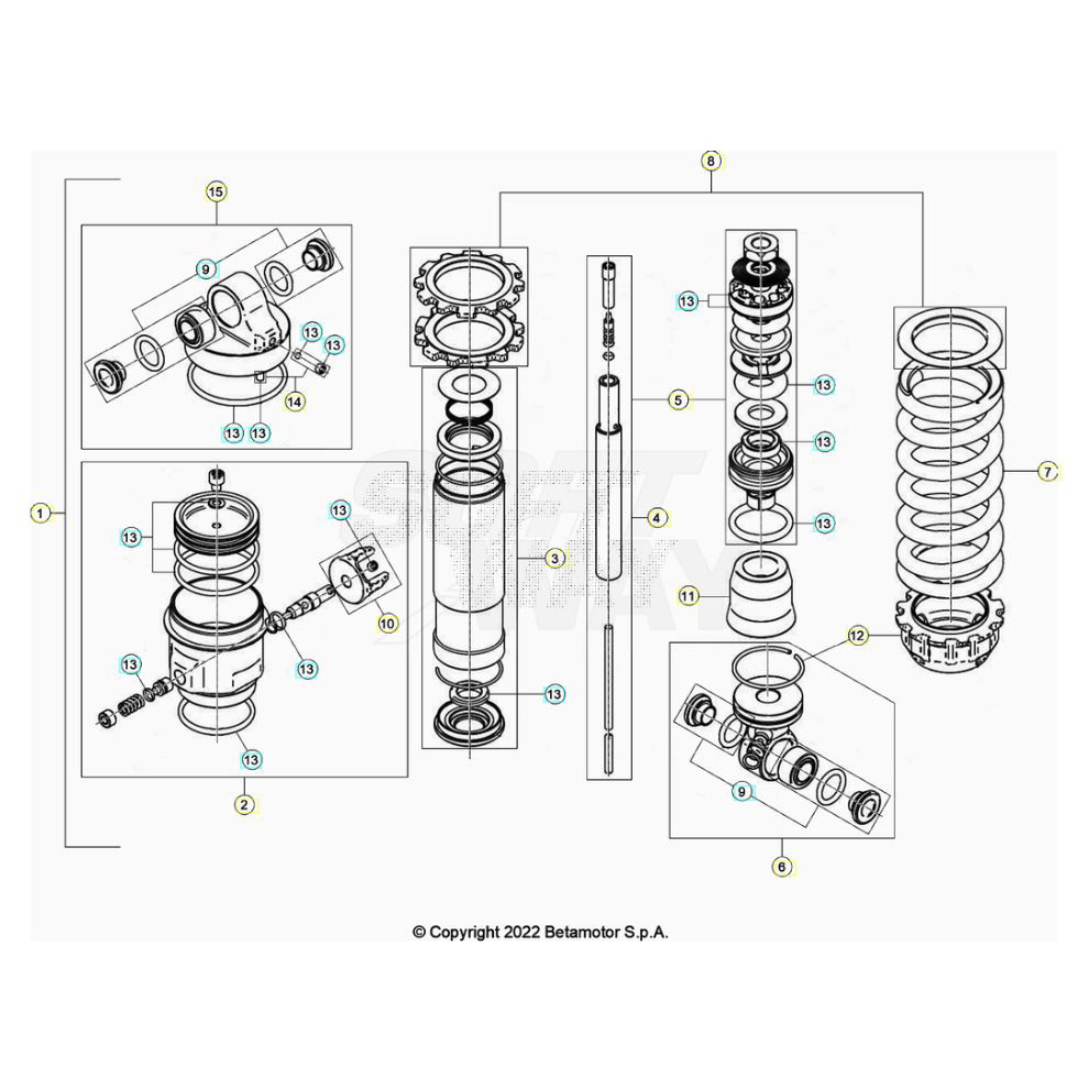 Beta  EVO125 Factory 24 Schwingarm/Federbein 2