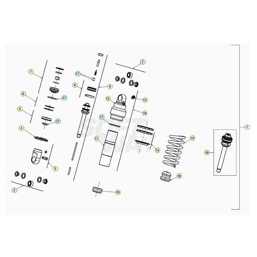 Beta EVO200 22 Schwingarm/Federbein 2