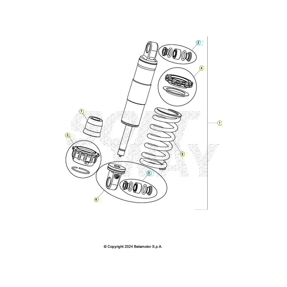 Beta EVO300 2T 25 Schwingarm/Federbein 2