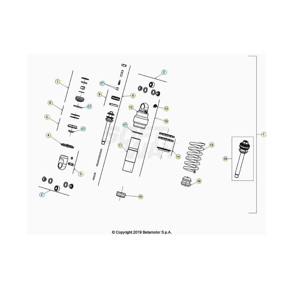 Beta EVO300 4T 22 Schwingarm/Federbein 2