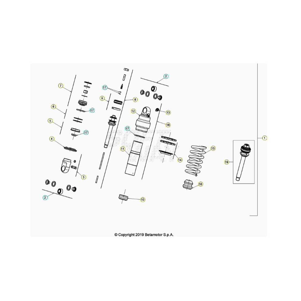 Beta EVO300 SS 24 Schwingarm/Federbein 2