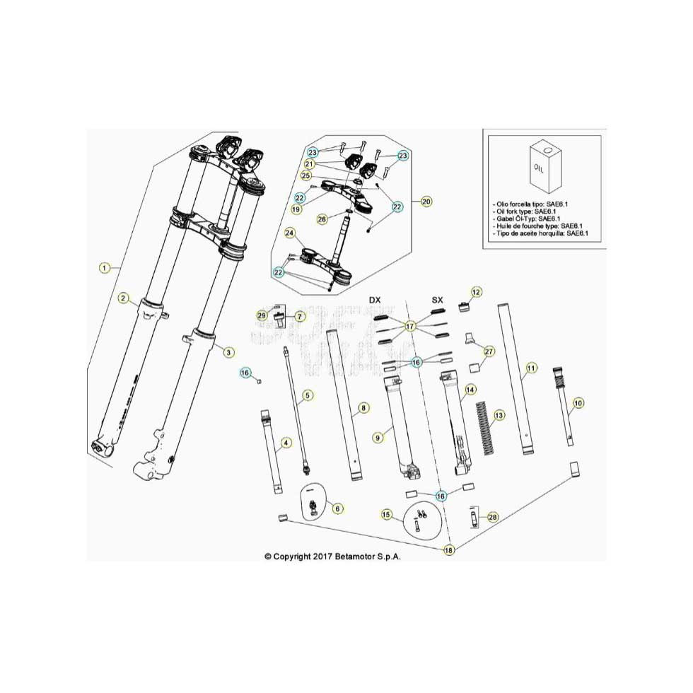 Beta  EVO250 Factory 24 Gabel
