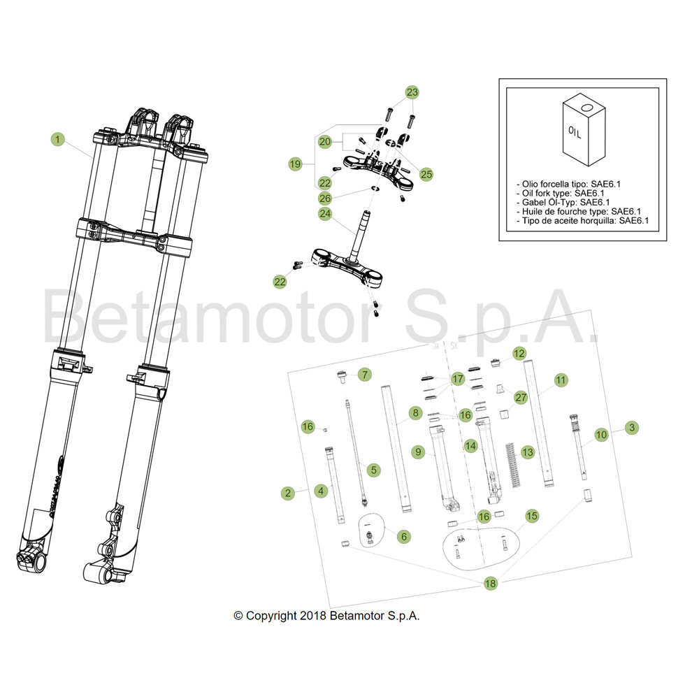 Beta EVO300 19 Gabel