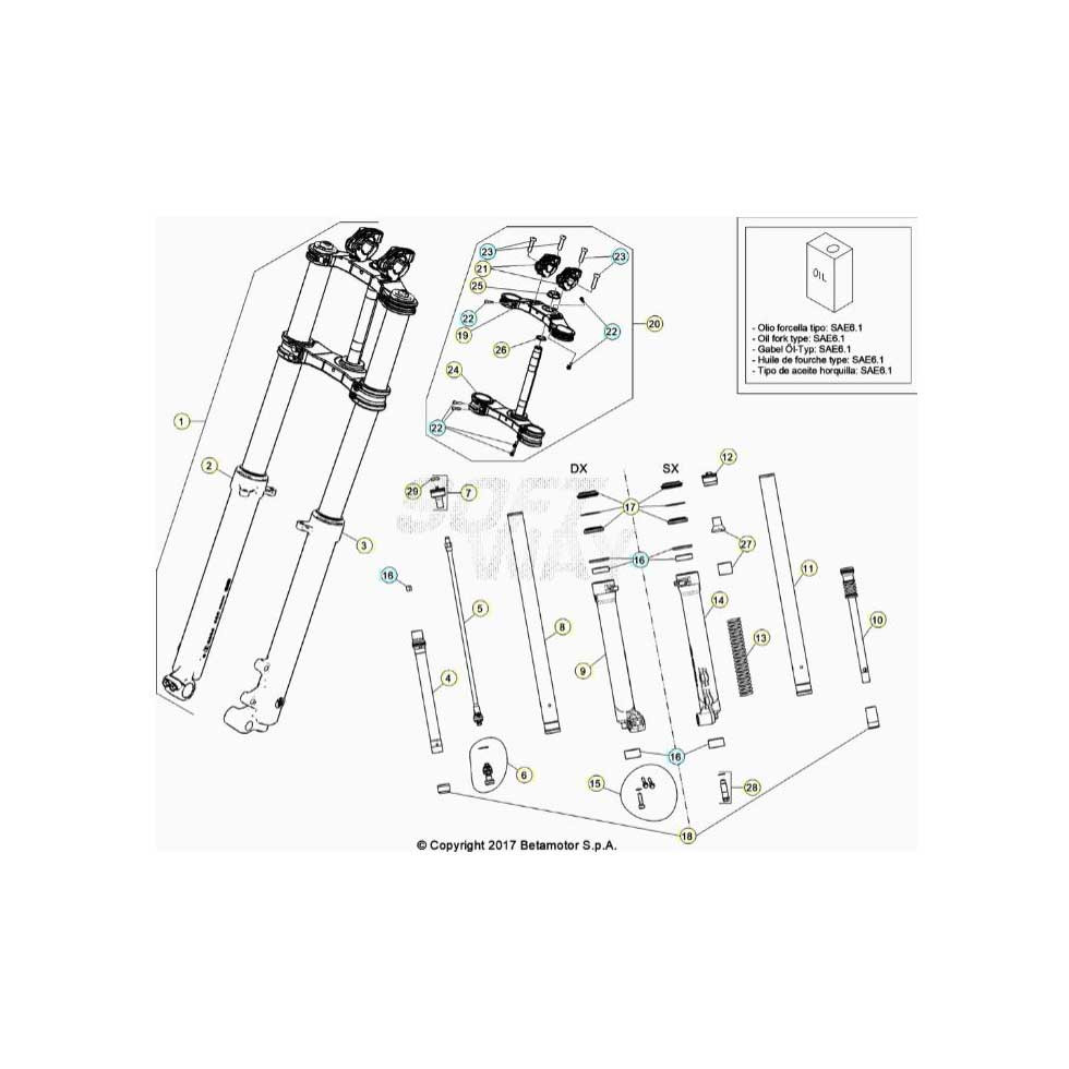 Beta EVO300 Factory 24 Gabel