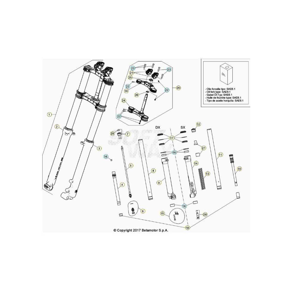 Beta EVO300 Factory 4T 22 Gabel