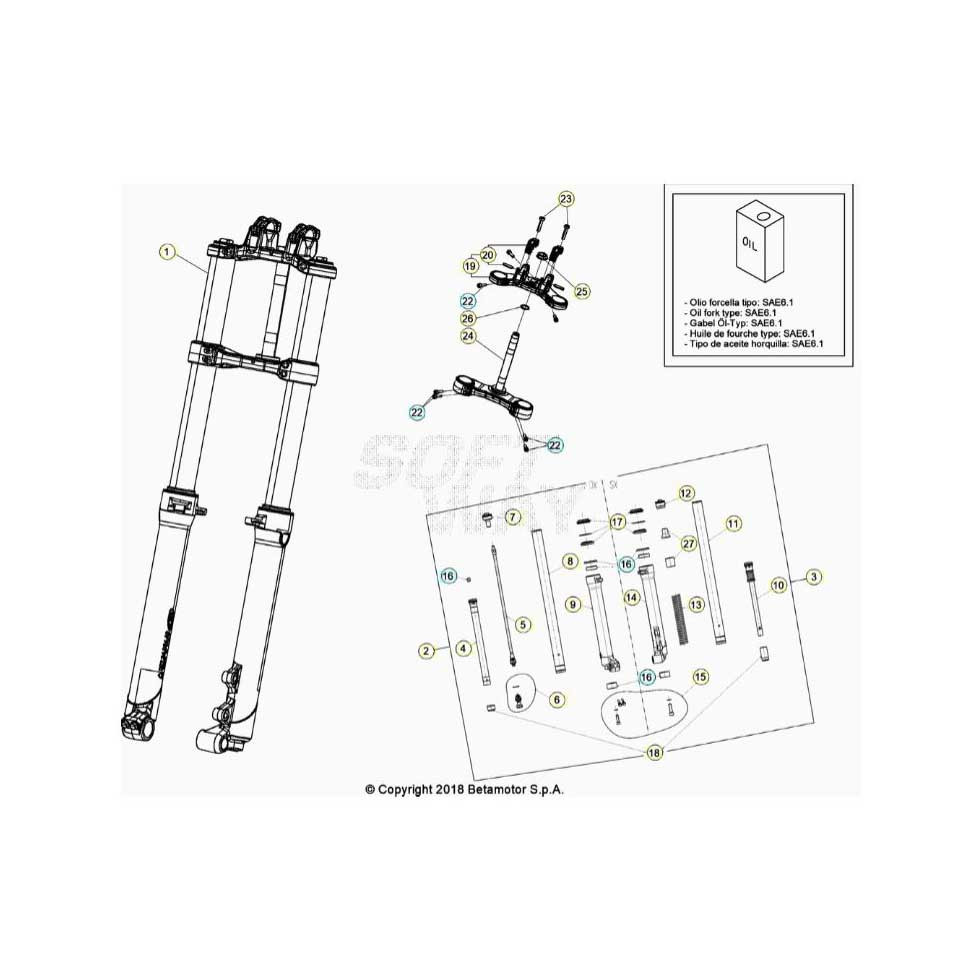 Beta EVO300 SS 24 Gabel