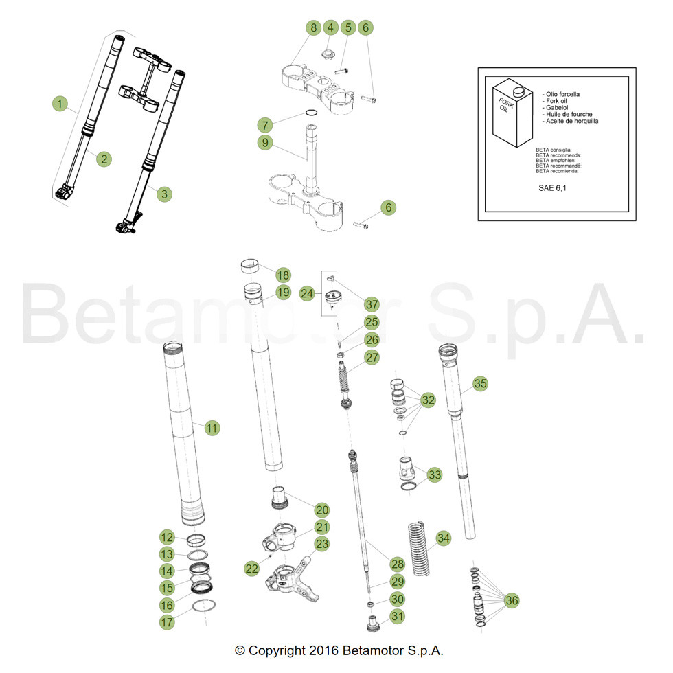 Beta RR250RC 19 Gabel