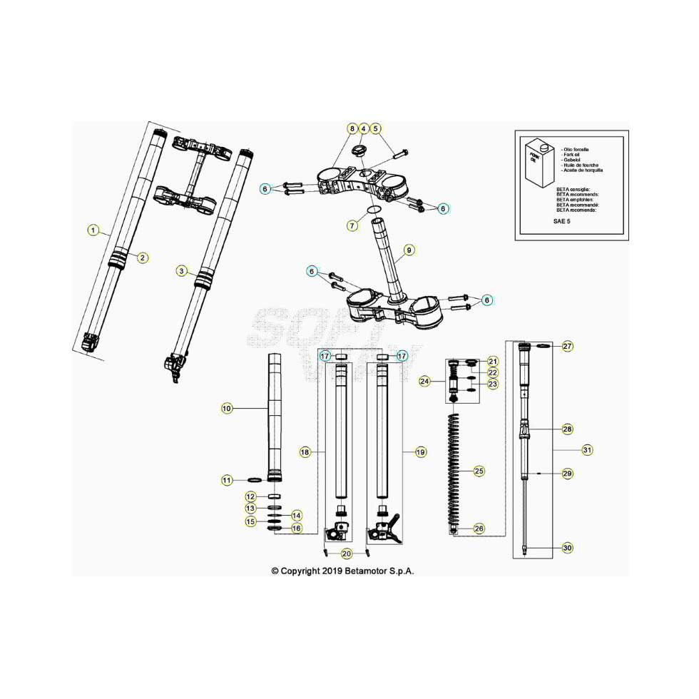 Beta RR350RC 25 4T Gabel