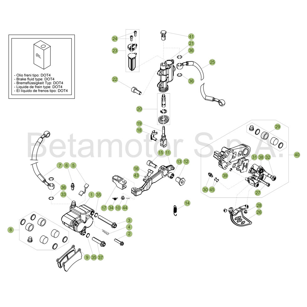 Beta EVO300 4T 19 Bremsen