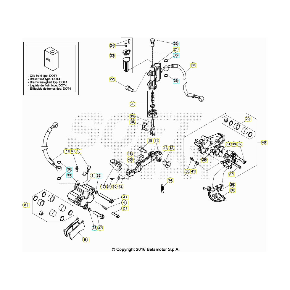 Beta EVO300 Factory 4T 22 Bremsen