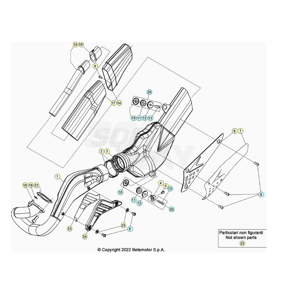 Beta  EVO250 Factory 24 Auspuffsystem