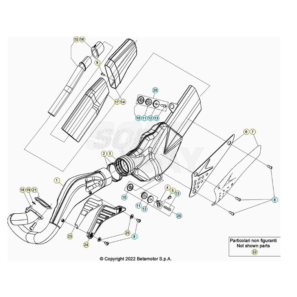 Beta EVO300 2T 25 Auspuffsystem