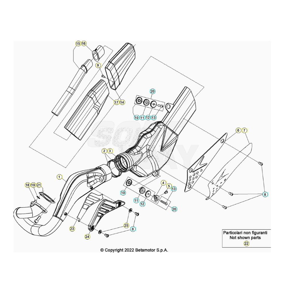Beta EVO80 Senior 22 Auspuffsystem