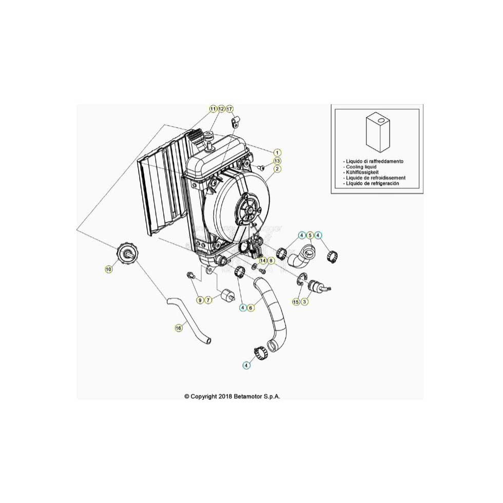 Beta EVO300 4T 23 Kühlsystem