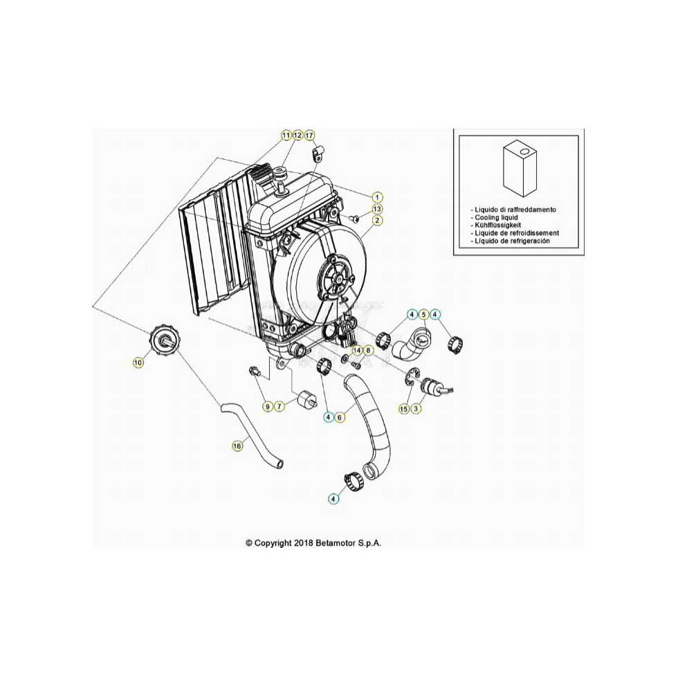 Beta EVO300 Factory 4T 23 Kühlsystem