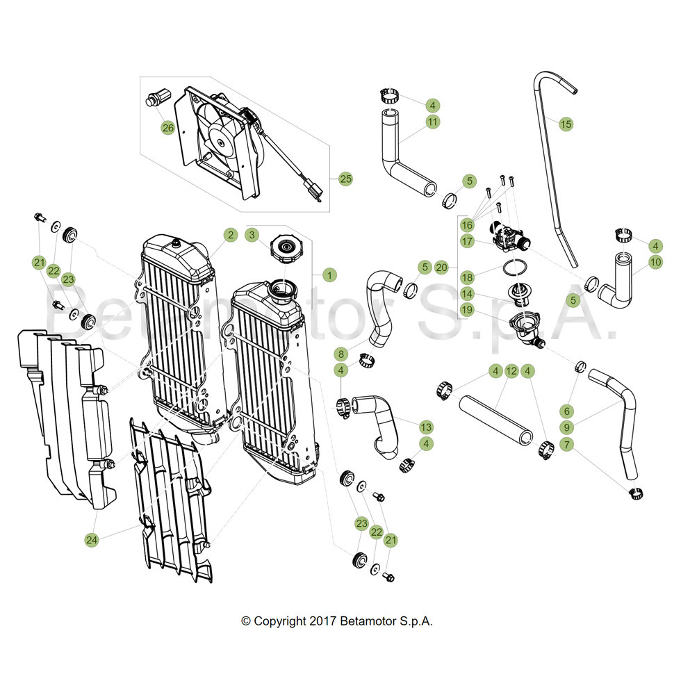 Beta RR250RC 19 Kühlsystem