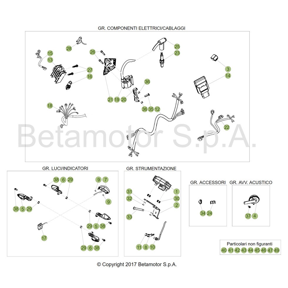 Beta EVO250 18 Kabelstrang