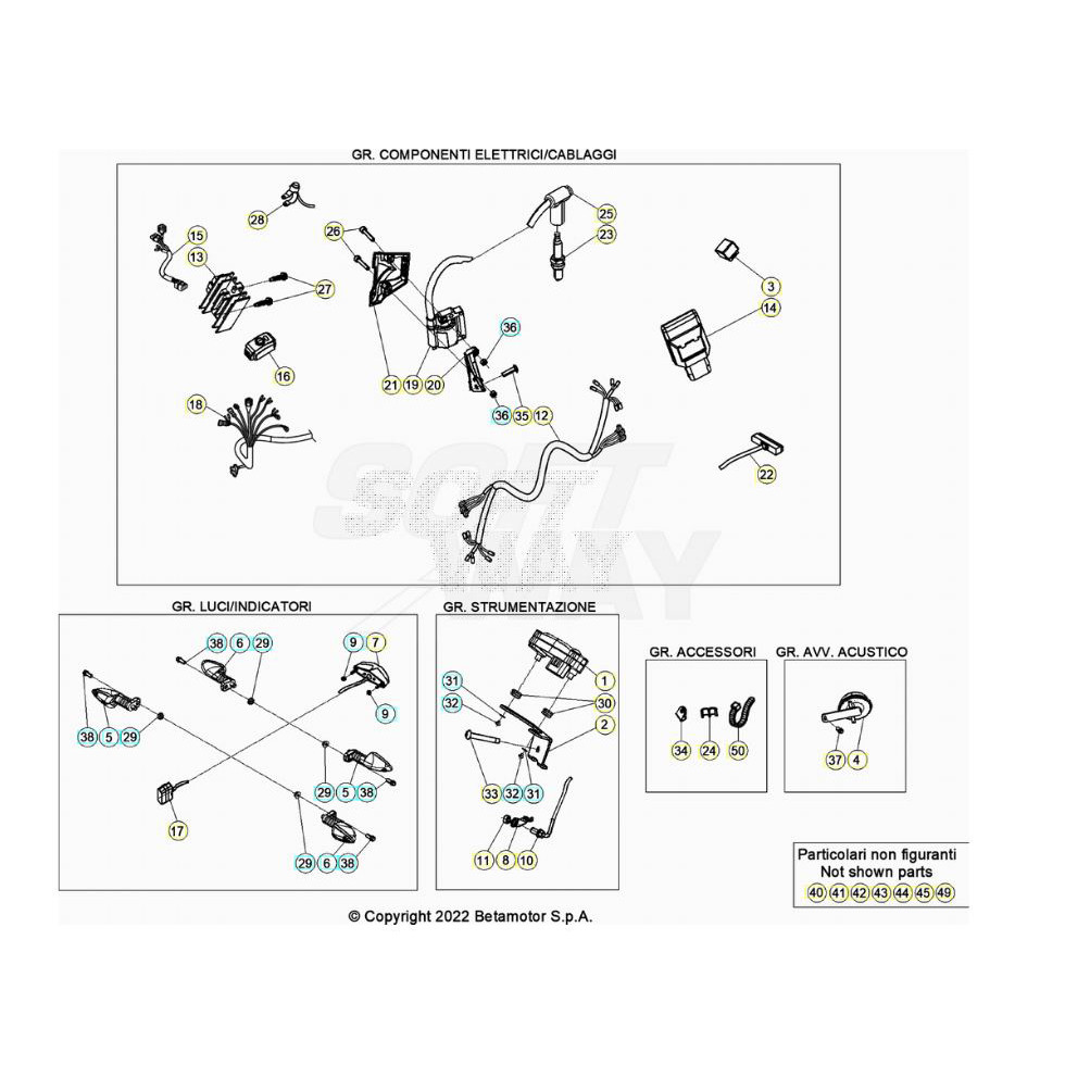 Beta  EVO250 Factory 23 Kabelstrang