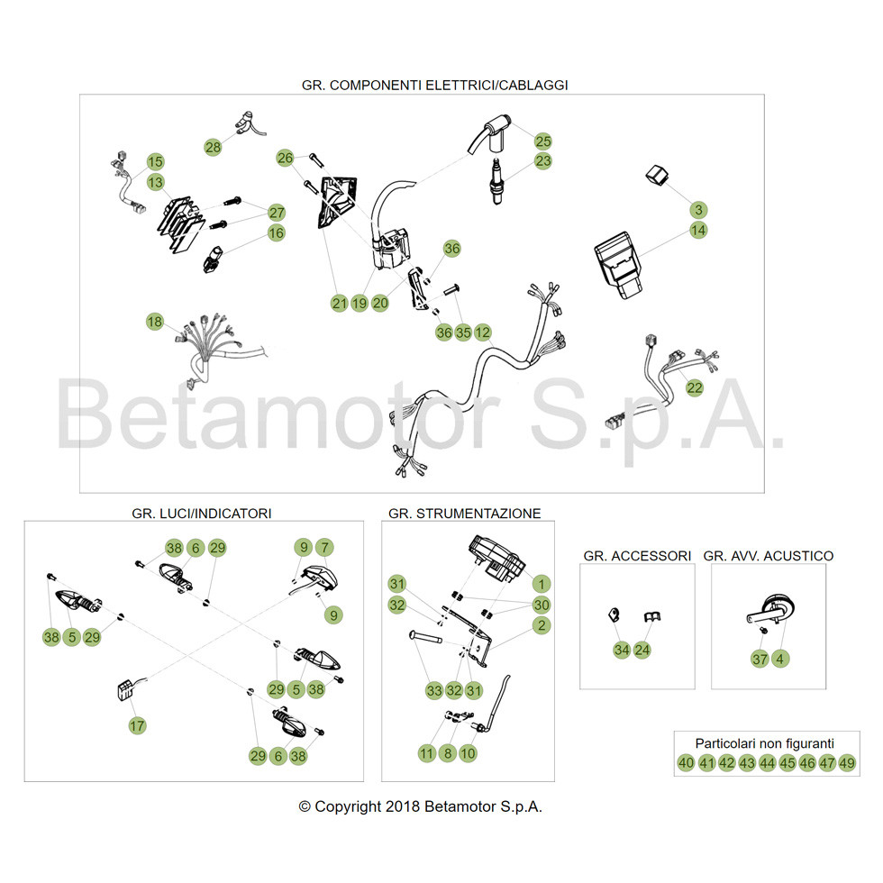 Beta EVO300 19 Kabelstrang